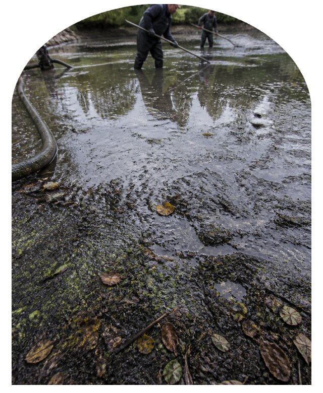 Очистка пруда в Сорочинске от ила мусора и водорослей с вывозом